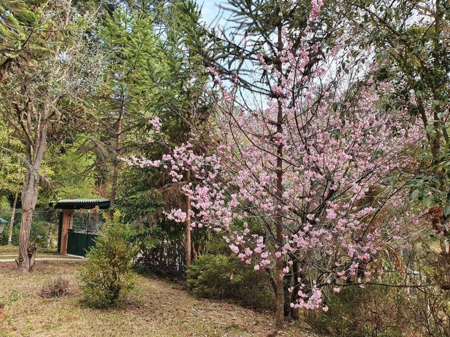 Casa Da Nanna Campos Villa Campos do Jordao Dış mekan fotoğraf