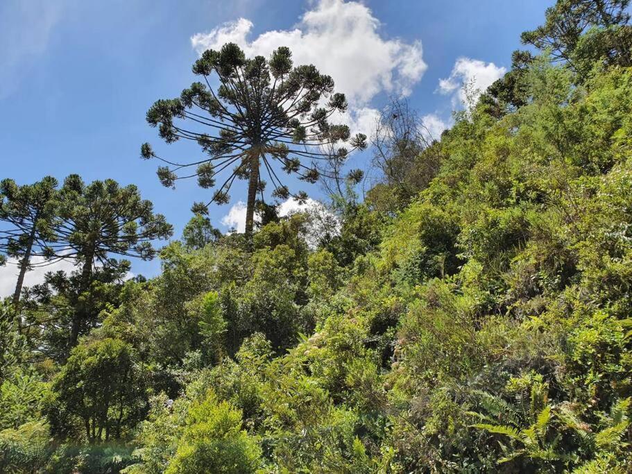 Casa Da Nanna Campos Villa Campos do Jordao Dış mekan fotoğraf